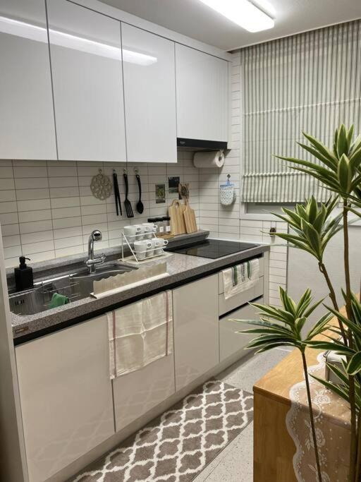 Apartment Cozy